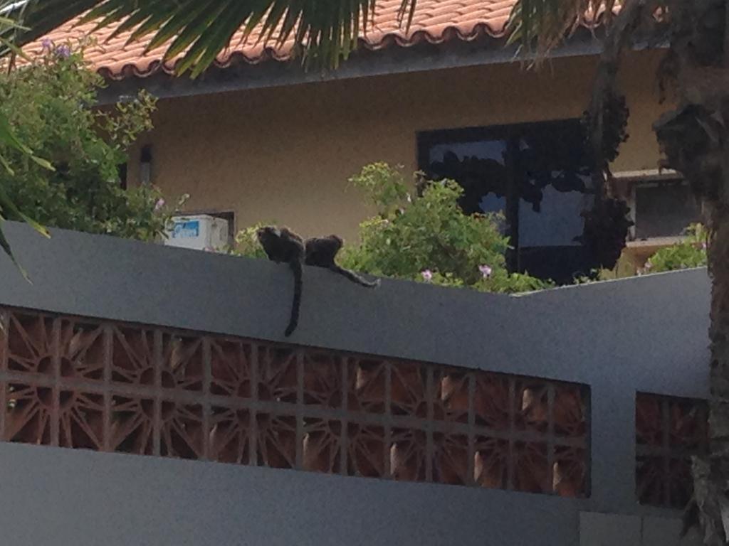 B&B Villa Borromeo Salvador Exterior photo